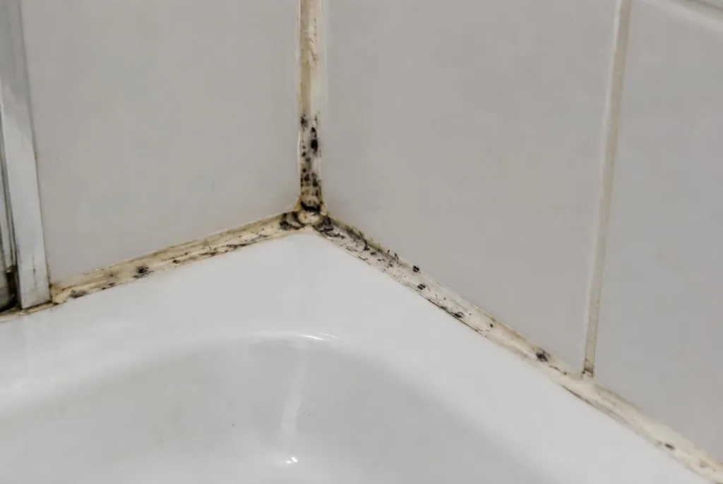 Kitbedrijf Haastrecht – beschimmelde kitranden